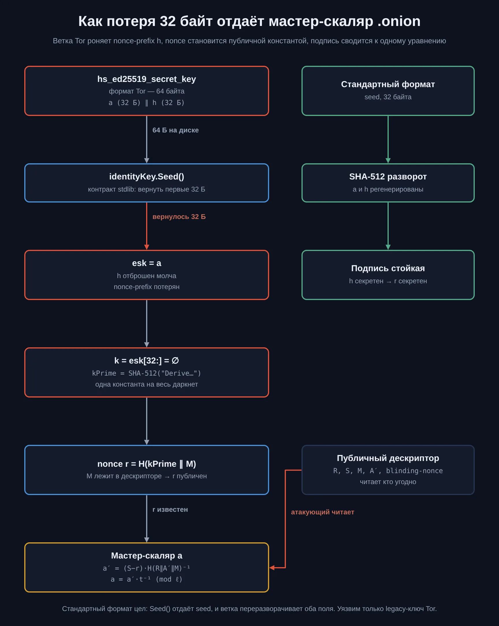 Схема потока данных: ключ формата Tor проходит через Seed(), теряет nonce-prefix h, nonce схлопывается в константу kPrime, и мастер-скаляр a восстанавливается из публичных полей дескриптора R, S, M, A′; параллельная ветка стандартного формата остаётся стойкой